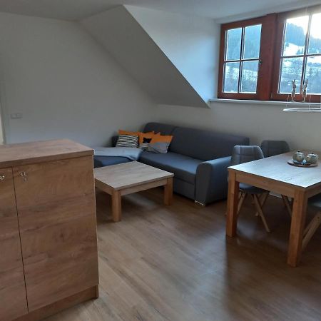 Apartman Acko Polansky Dvur - Velké Karlovice Eksteriør bilde
